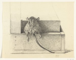 Muis door Jean Bernard
