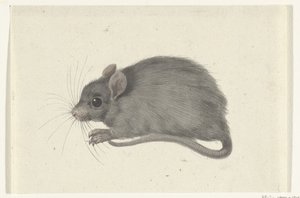 Muis, naar links door Jean Bernard