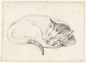 Opgerold liggende, slapende kat door Jean Bernard
