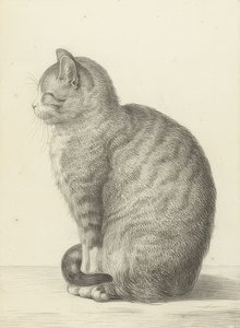 Zittende kat, naar links. 1815