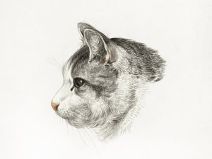 Schets van een kat (1819) Door Jean Bernard (1775–1883) door Jean Bernard