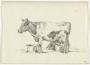 Staande koe, met melkemmer en melkkrukje