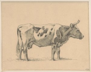 Staande koe, naar rechts door Jean Bernard