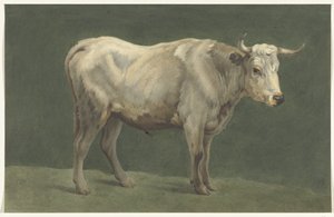 Staande stier, naar rechts door Jean Bernard