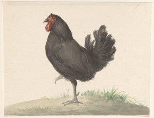 Staande zwarte kip door Jean Bernard