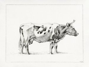 Staande koe (1820) door Jean Bernard