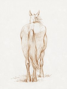Staand paard (1815) Door Jean Bernard door Jean Bernard