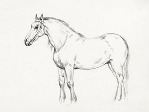 Staand paard (1818) door Jean Bernard