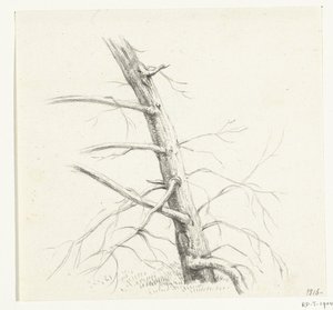 Studie van een boom door Jean Bernard