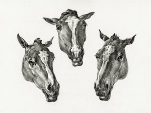 Drie paardenkoppen (1812)