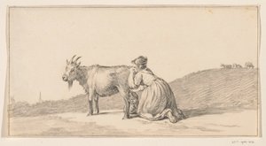 Vrouw die een geit melkt