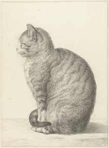 Zittende kat, naar links