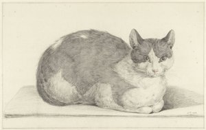 Zittende kat, naar rechts door Jean Bernard