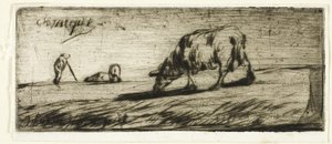 Een Schaap dat Graast