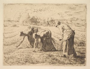 De Arenleesters