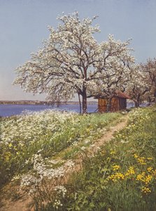 Zwitserland: Mei-Tijd