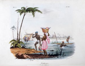 Visser, 1828