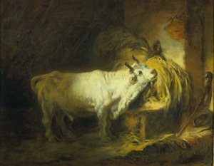 De witte stier in de stal