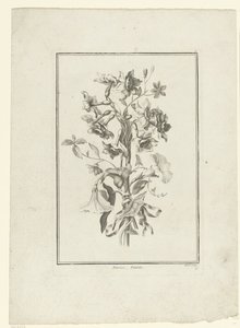 Boeket van narcis en winde