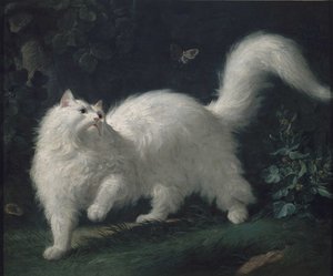 Angora kat die een vlinder achtervolgt, c. 1760