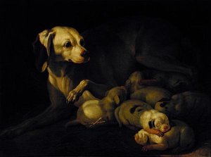 De teef die haar puppy