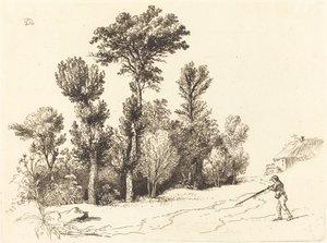Klein Bosje bij de Jager