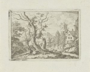 Drie dode bomen op een heuvel