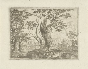 Landschap met een afgebroken boom