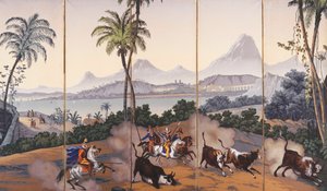 Gezichten van Brazilië
