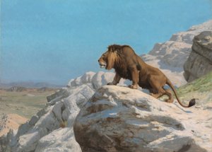Leeuw op de Uitkijk, ca. 1885