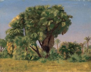 Studie van palmbomen