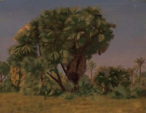 Studie van Palmbomen, waarschijnlijk 1868