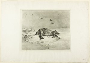 Dood Paard