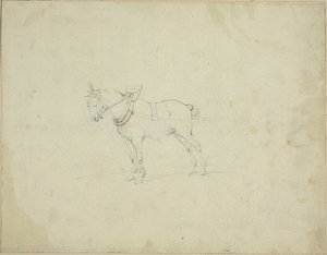 Trekpaard door Jean Louis André Théodore Géricault
