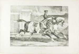 Paarden in beweging, plaat 6 van Diverse onderwerpen Naar het leven getekend op steen