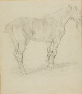 Staand Paard door Jean Louis André Théodore Géricault