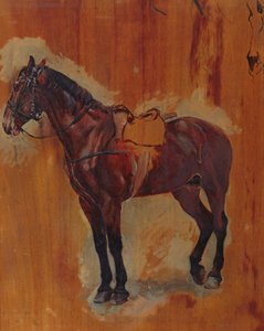 Studie van een paard