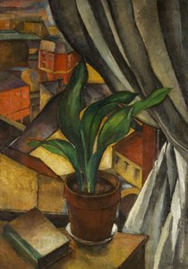 De Aspidistra, ca. 1912
