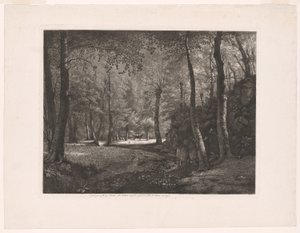Het bos van Rochecardon door Jean Michel Grobon