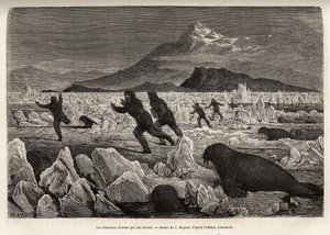 Een deel van de bemanning van het schip La Germania, op de Clavering-eilanden, afgedaald op het ijs om te jagen, werden zelf opgejaagd door walrussen die uit het water kwamen, gegraveerd naar de tekening van J.Moynet, ter illustratie van een reis naar de N door Jean Pierre Moynet