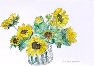 Zonnebloemen, 2007 (aquarel en inkt op papier)