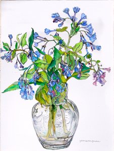 Virginia Blue Bells in Narrow Necked Vase, 2006 (aquarel en inkt op papier)