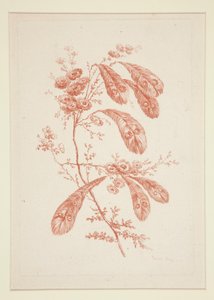Zonder titel (Ideale bloemen), uit een set van zes door Jeanne Deny
