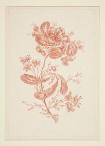 Zonder titel (Ideale bloemen), uit een set van zes door Jeanne Deny