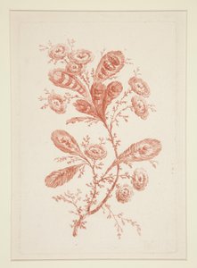 Zonder titel (Ideale bloemen), uit een set van zes door Jeanne Deny