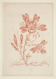 Zonder Titel (Ideale Bloemen), uit een set van zes door Jeanne Deny