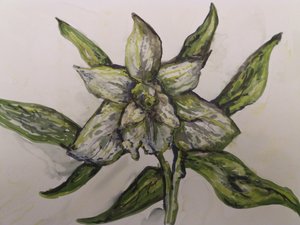 Groene Orchidee door Jeannette Stein