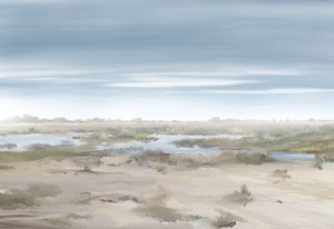 Mistig moeraslandschap door Jenna Alheit