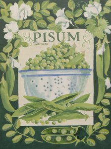 Pisum, erwten (acryl) door Jennifer Abbott