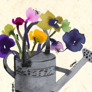 Mieren in je planten